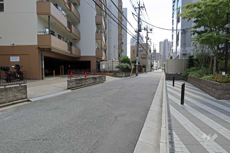 敷地の西側前面道路（北側から）