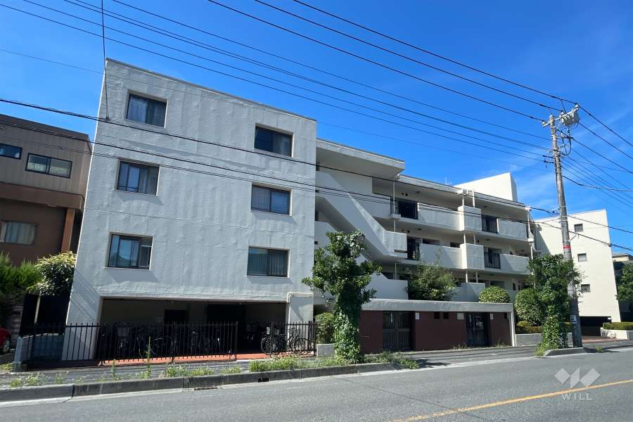 ドミール川口の外観（北東側から）