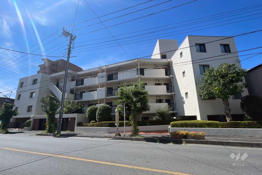 ドミール川口の外観（北西側から）