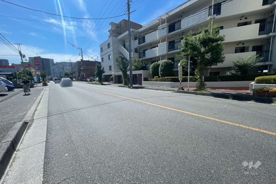 敷地の北側前面道路（西側から）
