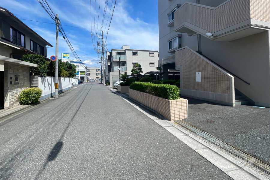 敷地の北側前面道路（西側から）