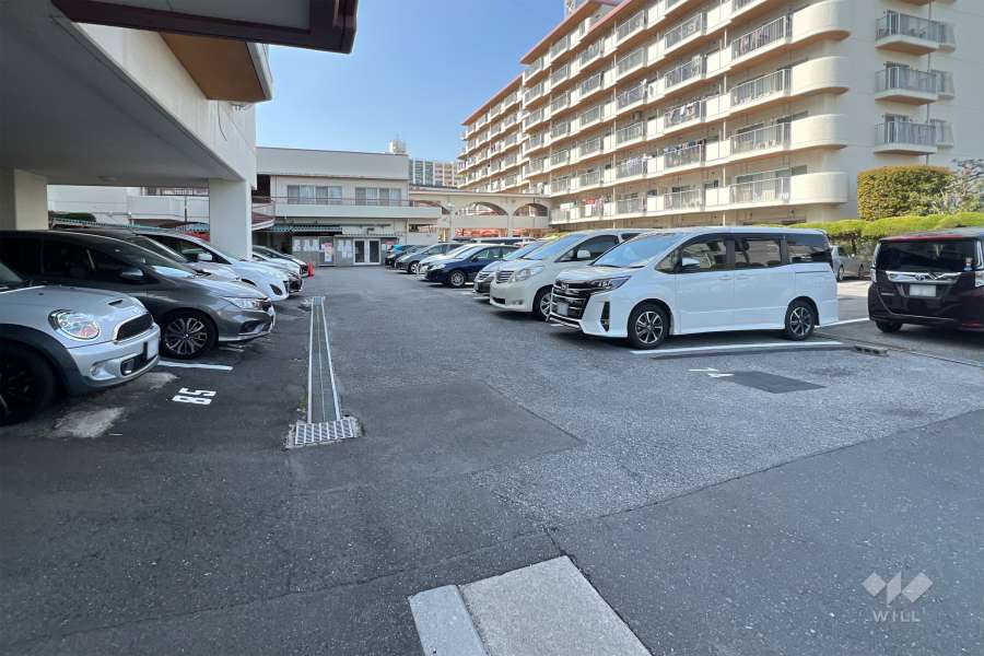 敷地内駐車場（屋外平面式）