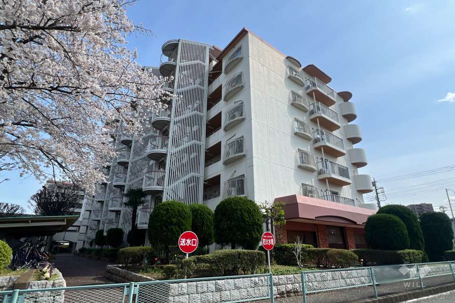 芝園ハイツ1号棟の外観（北西側から）