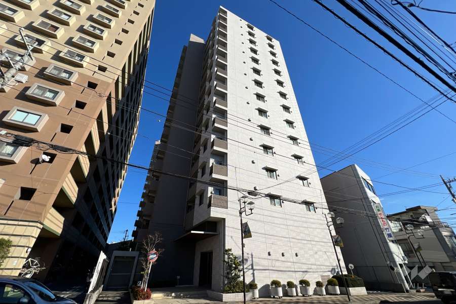 ウィルローズ鳩ヶ谷の外観（北側から）