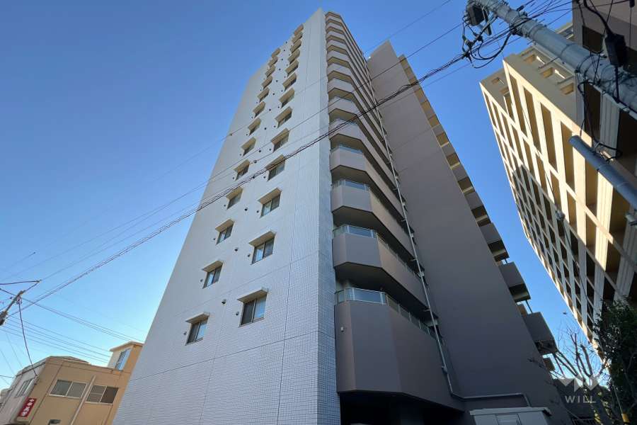 ウィルローズ鳩ヶ谷の外観（北東側から）