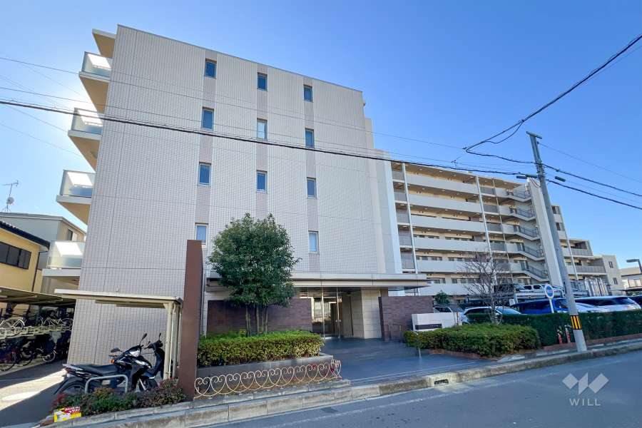 イニシア川口鳩ヶ谷の外観（東側から）