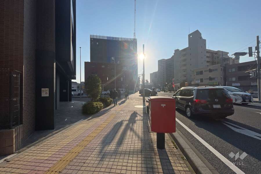 敷地の南側前面道路（西側から）