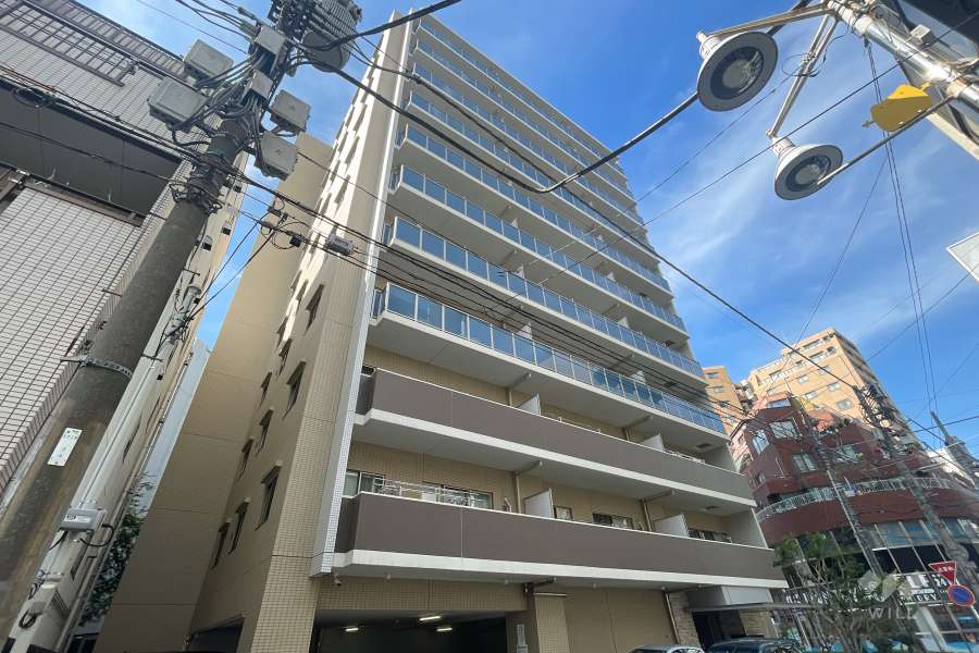 エクセレントシティ川口並木の外観（南西側から）