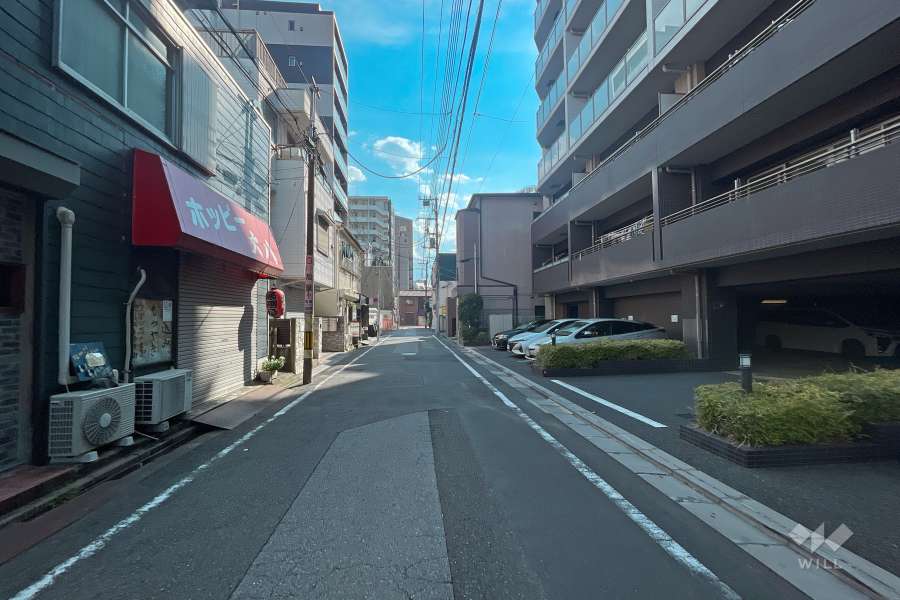 敷地の南東側前面道路（北東側から）