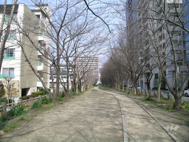 敷地の西側には緑地スペースがあります。