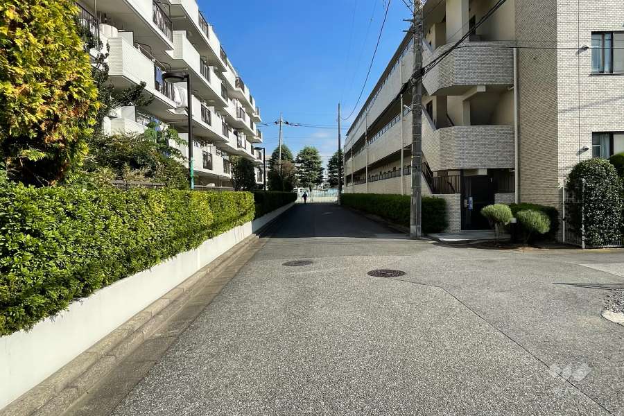 敷地の南側前面道路（西側から）