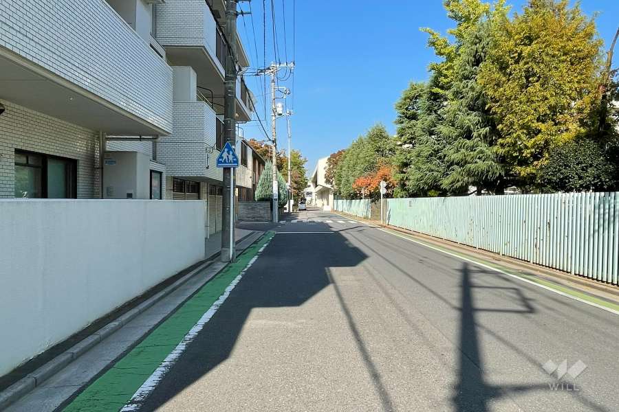 敷地の東側前面道路（南側から）