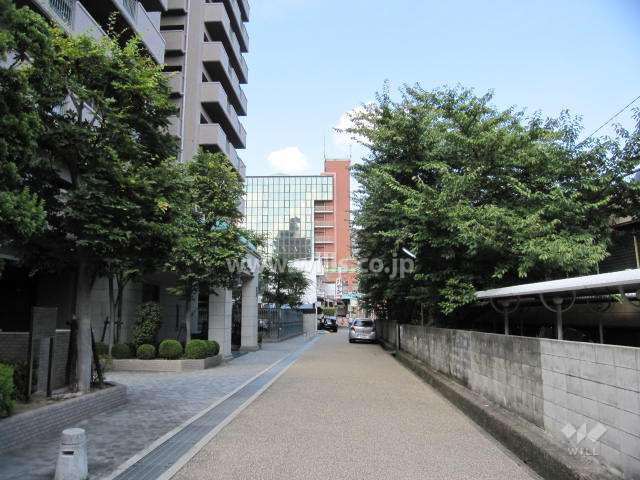 敷地の東側道路