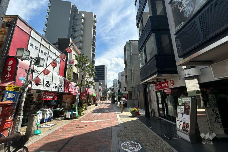 敷地の東側前面道路（南側から）