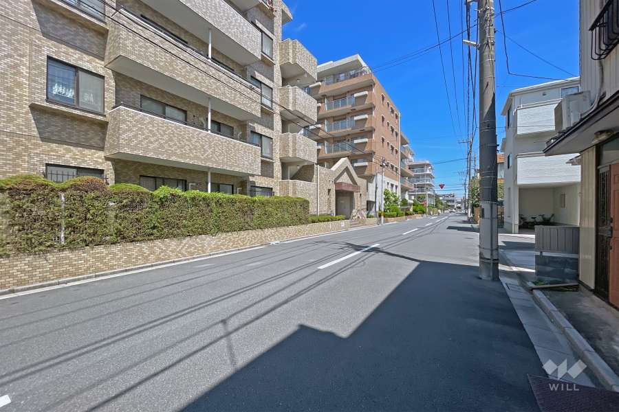 敷地の東側前面道路（南側から）