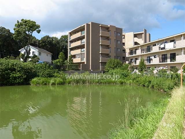 敷地南側には池があります。