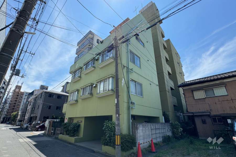 メゾン西川口の外観（北西側から）　.