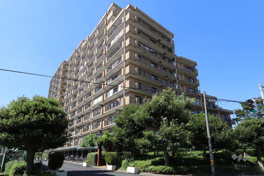 ライオンズガーデン川口の外観（南東側から）
