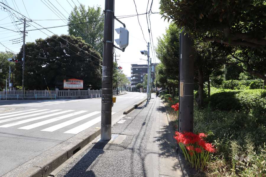敷地東側の前面道路