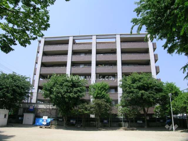 外観（南側から見る）