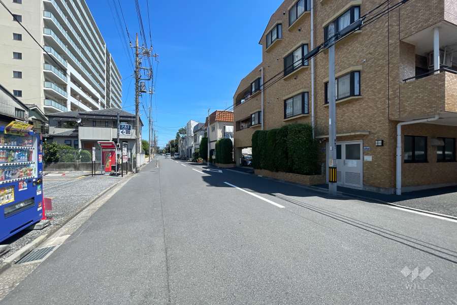 敷地の西側前面道路（南側から）