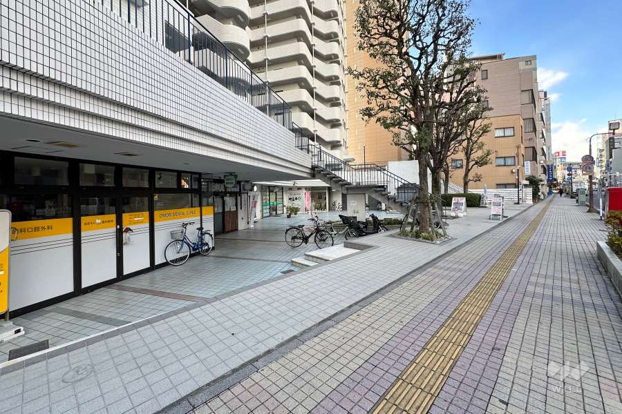 敷地北側の前面道路　