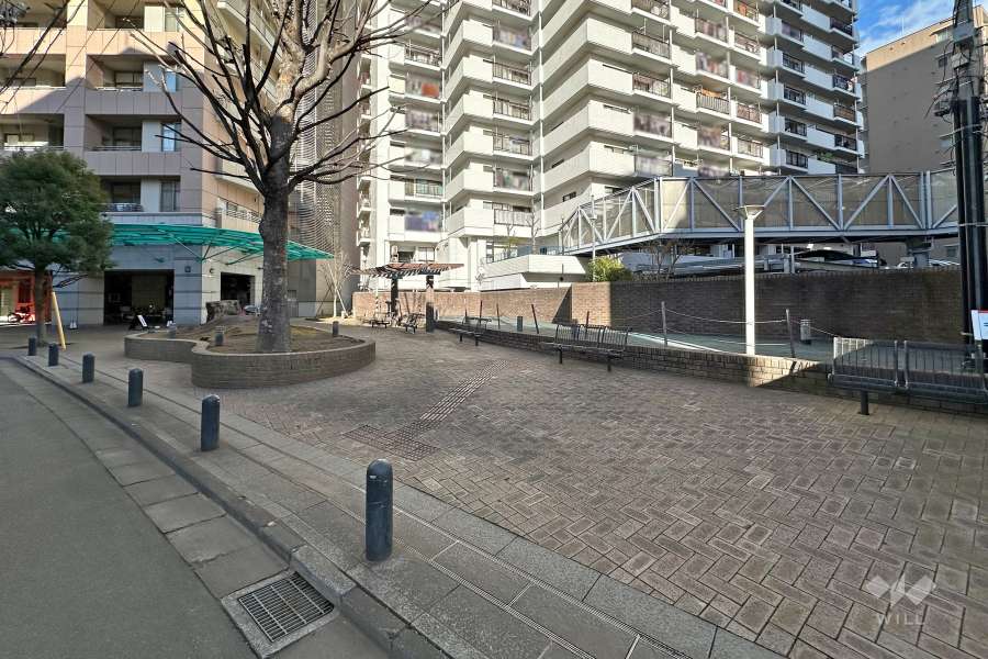 敷地西側の前面道路　