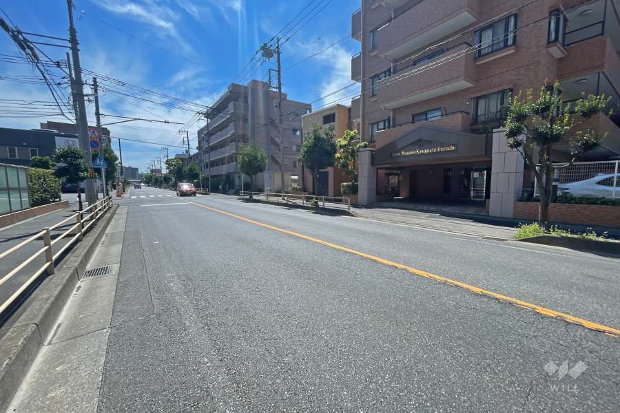 敷地北側の前面道路（西側から）