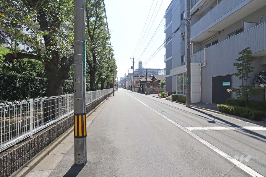敷地西側の前面道路（北側から）