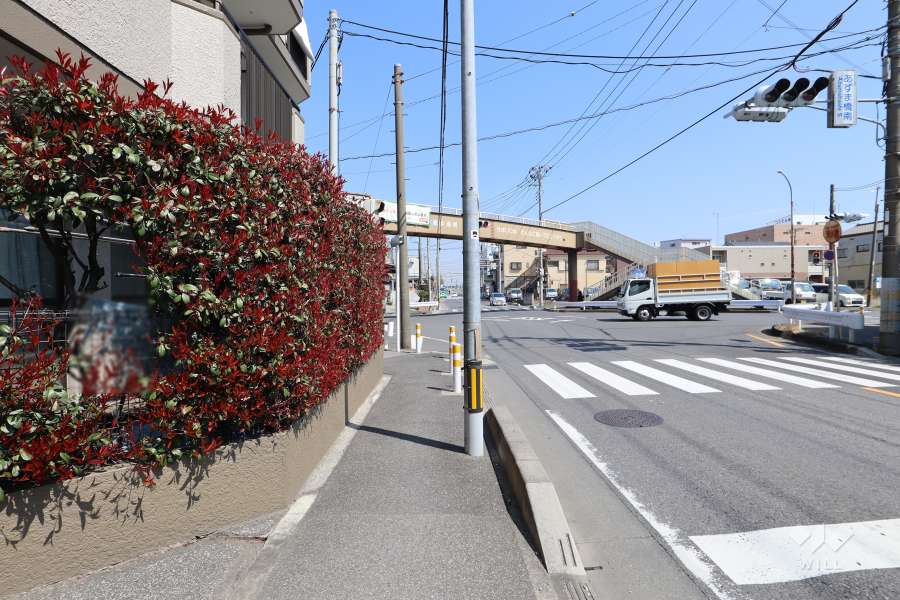 敷地南東側の前面道路（南西側から）