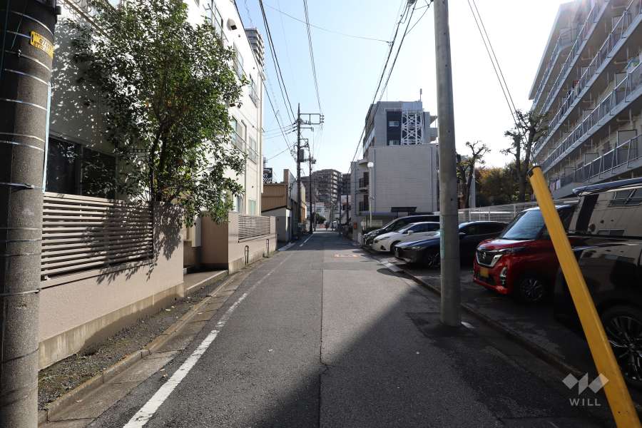 敷地の北東側前面道路（北西側から）