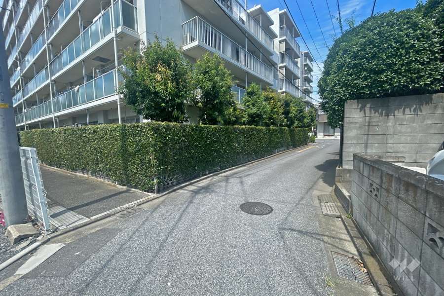 敷地南東側の前面道路（南西側から）
