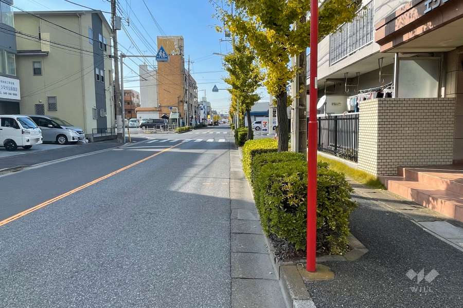 敷地南側の前面道路（東側から）