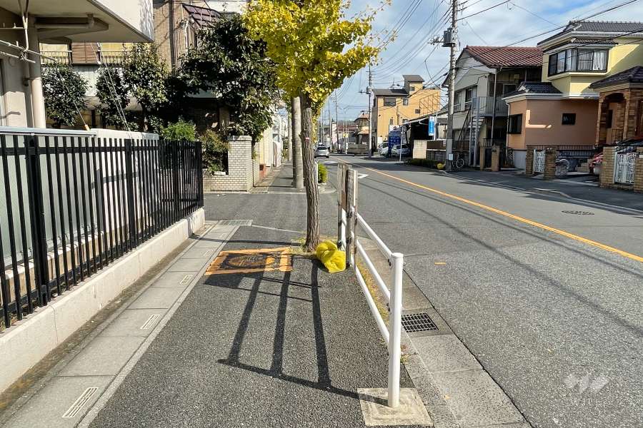 敷地南側の前面道路（西側から）