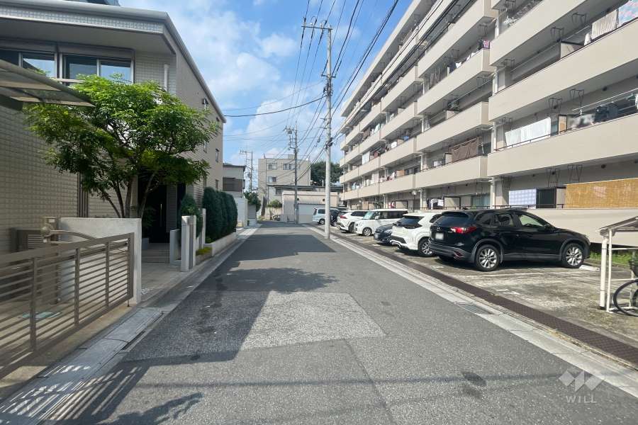 敷地の西側前面道路（南側から）