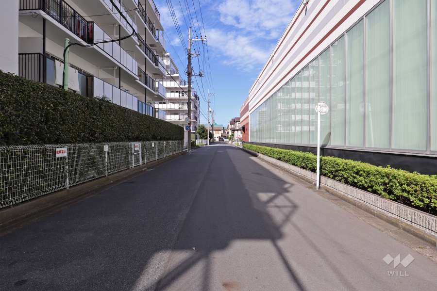 敷地東側の前面道路（南側から）