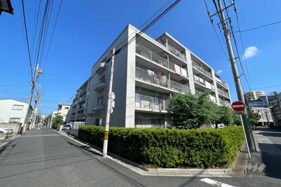 ドルミ西川口の外観（南西側から）