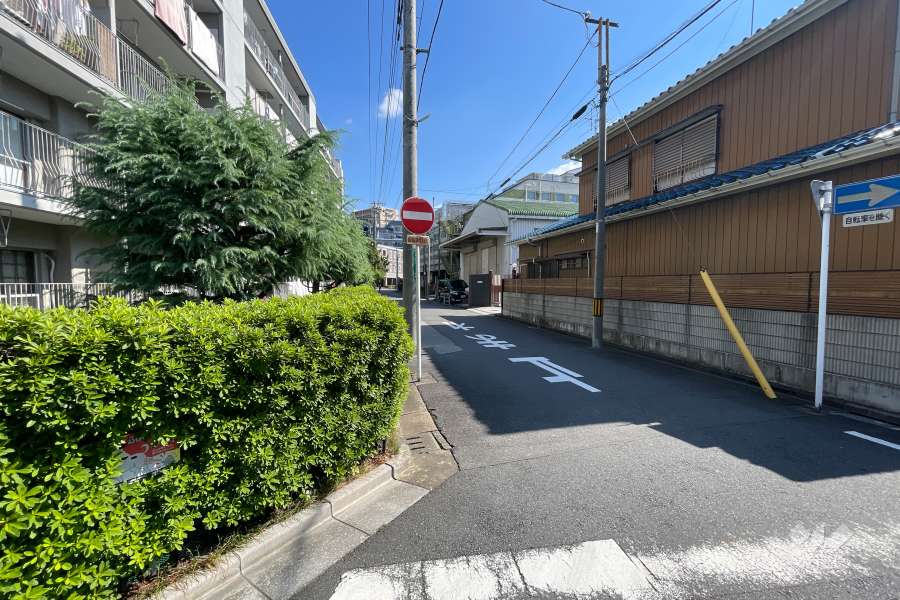 敷地の南側前面道路（西側から）