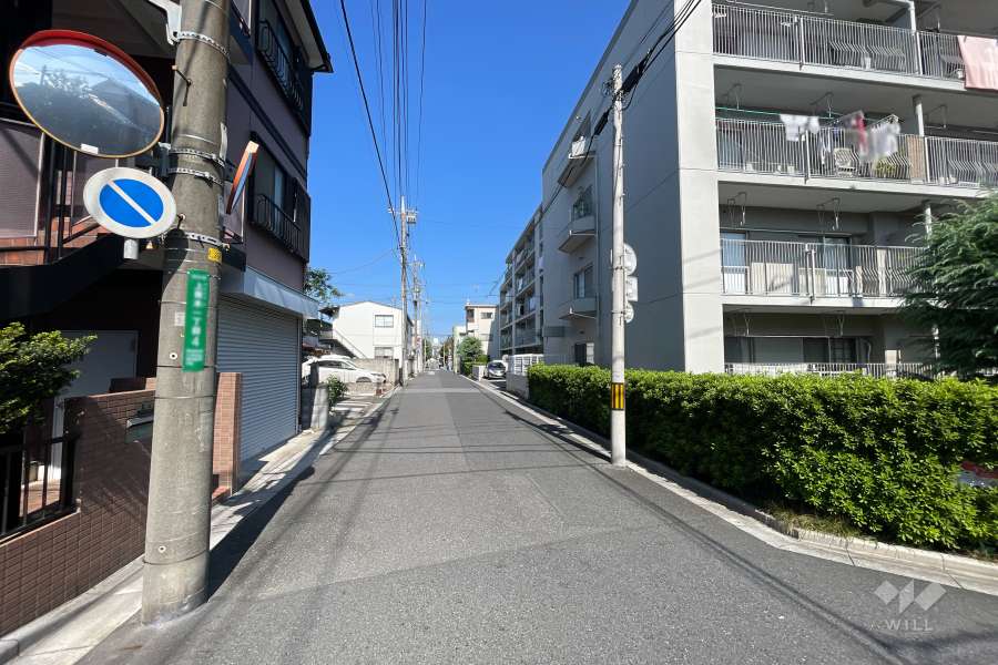 敷地の西側前面道路（南側から）