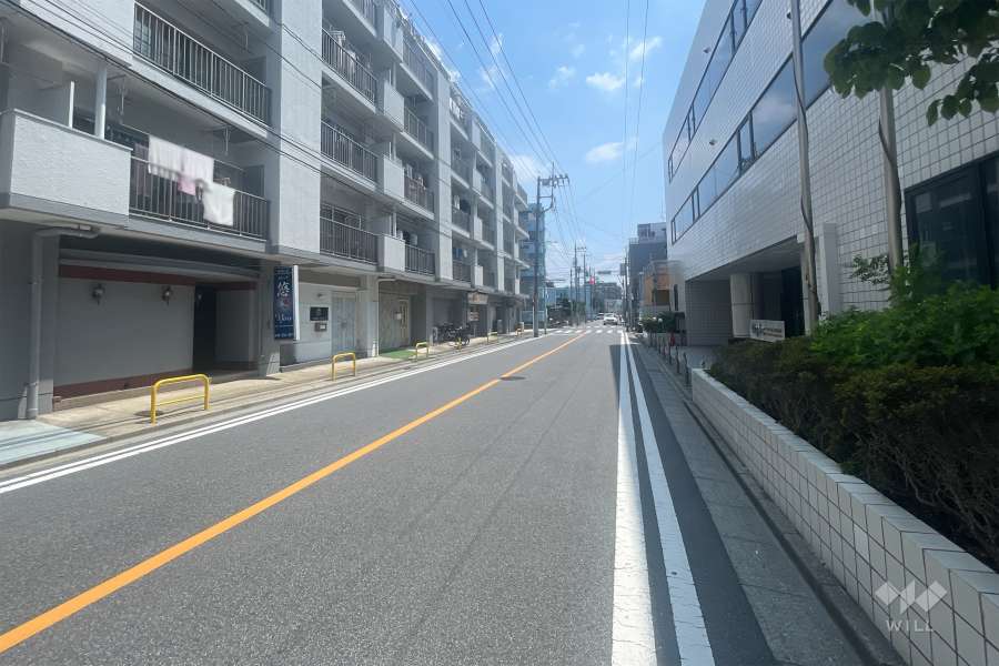 敷地の南側前面道路（西側から）