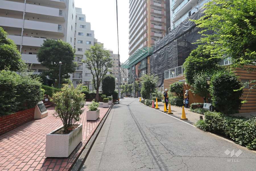 敷地の北側前面道路（東側から）