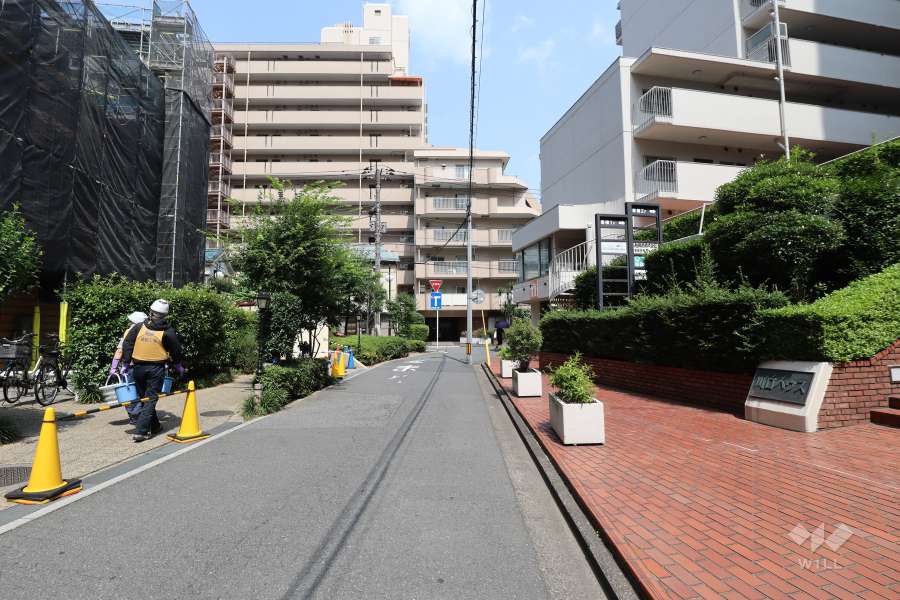 敷地の北側前面道路（西側から）