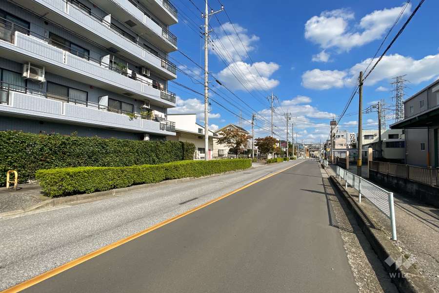 敷地南側の前面道路（西側から）