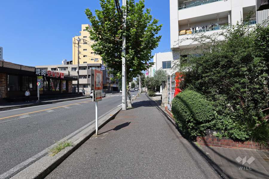 敷地南西側の前面道路（南東側から）