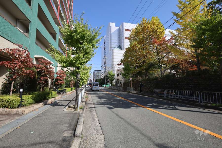 敷地南側の前面道路