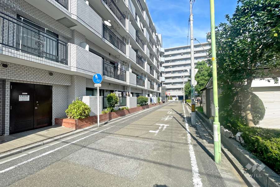 敷地の南側前面道路（西側から）