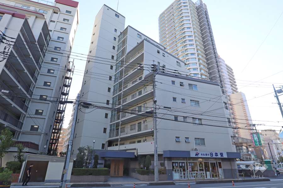 ハイネス川口の外観（北東側から）