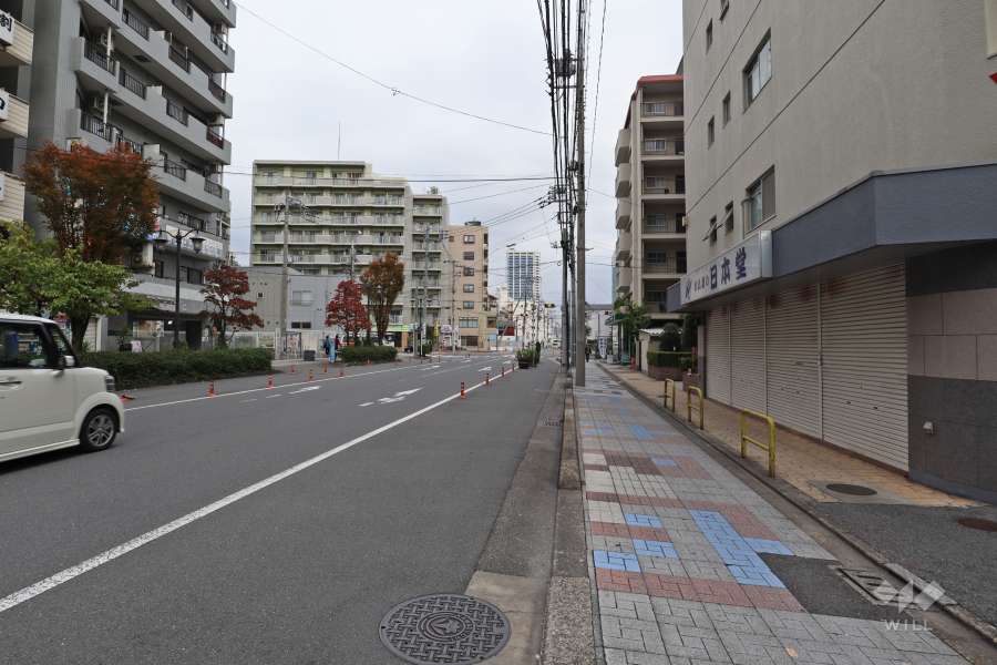 敷地北側の前面道路（西側から）