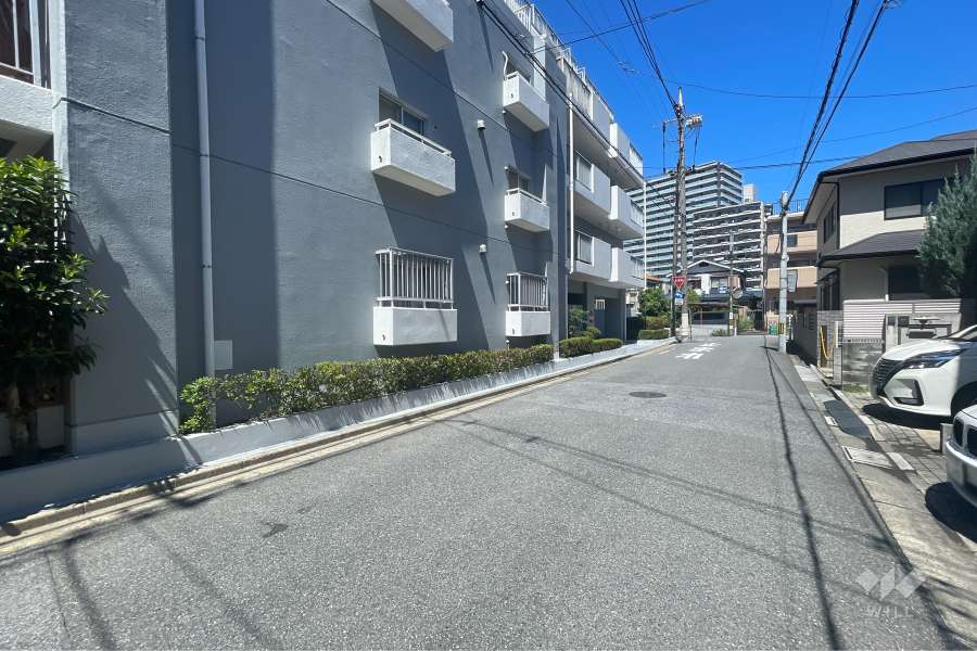 敷地の東側前面道路（南側から）