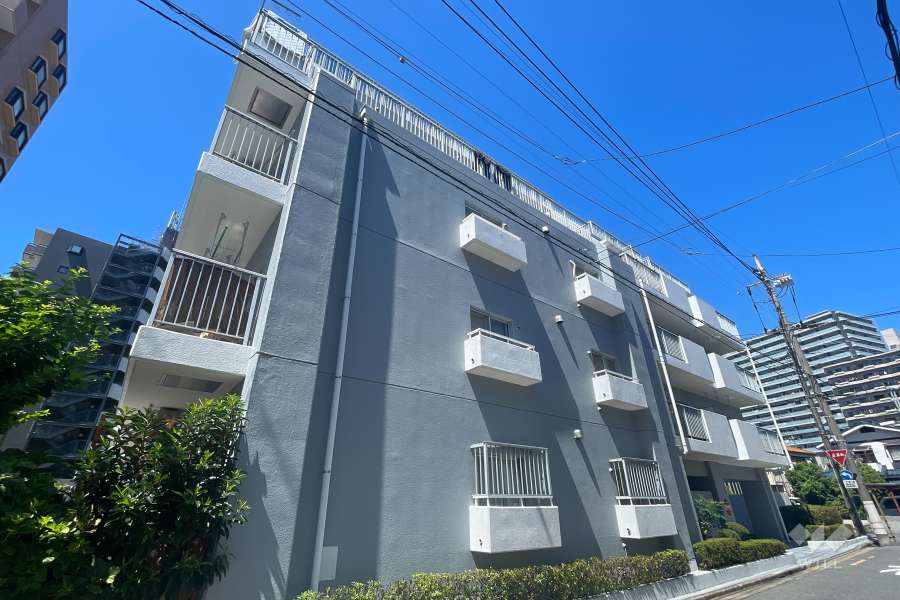 ライネスハイム川口の外観（南東側から）